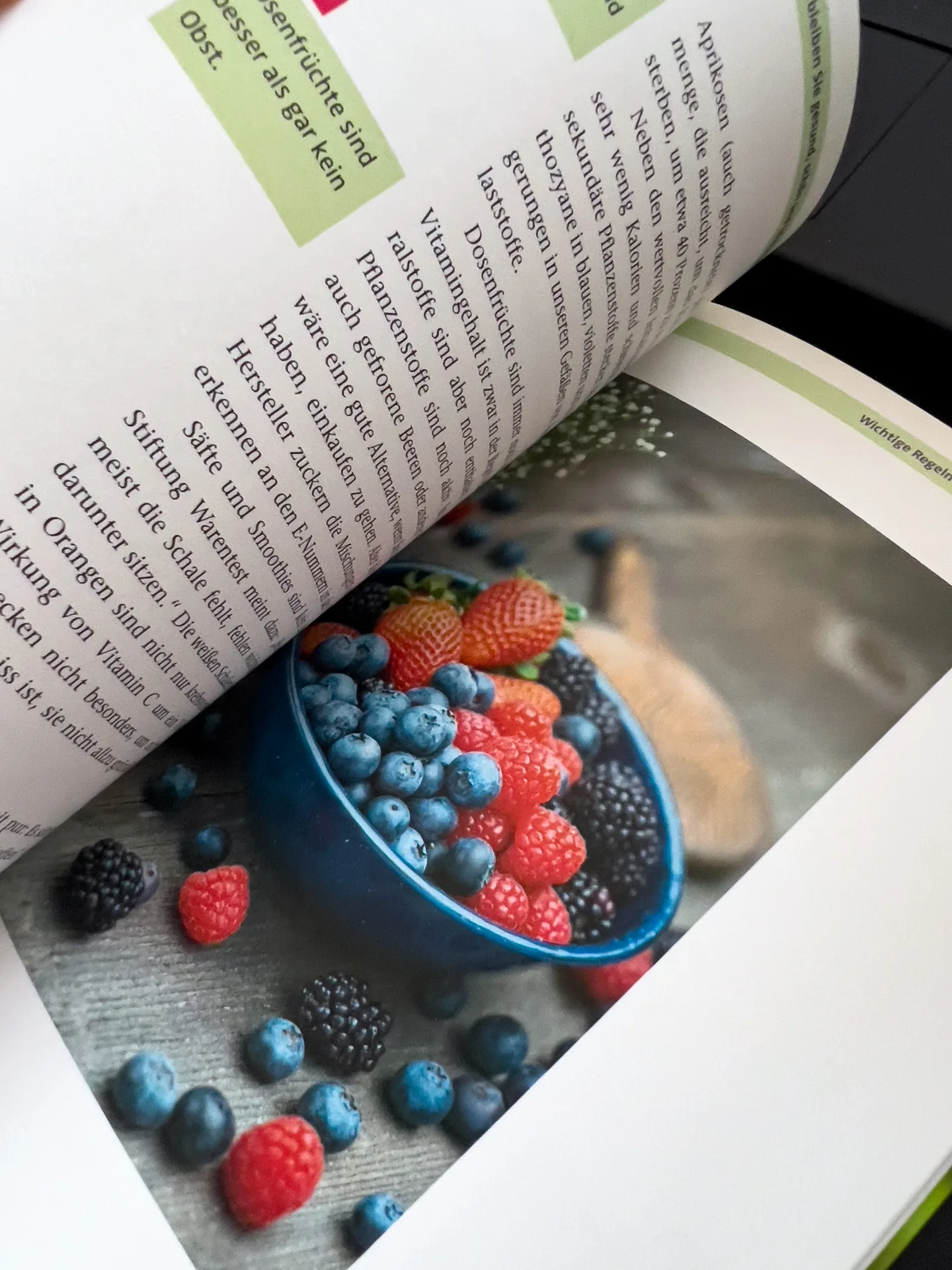 Gesunde Ernährung ab 40: So bleiben Sie fit und leistungsfähig von Dr. Andrea Flemmer