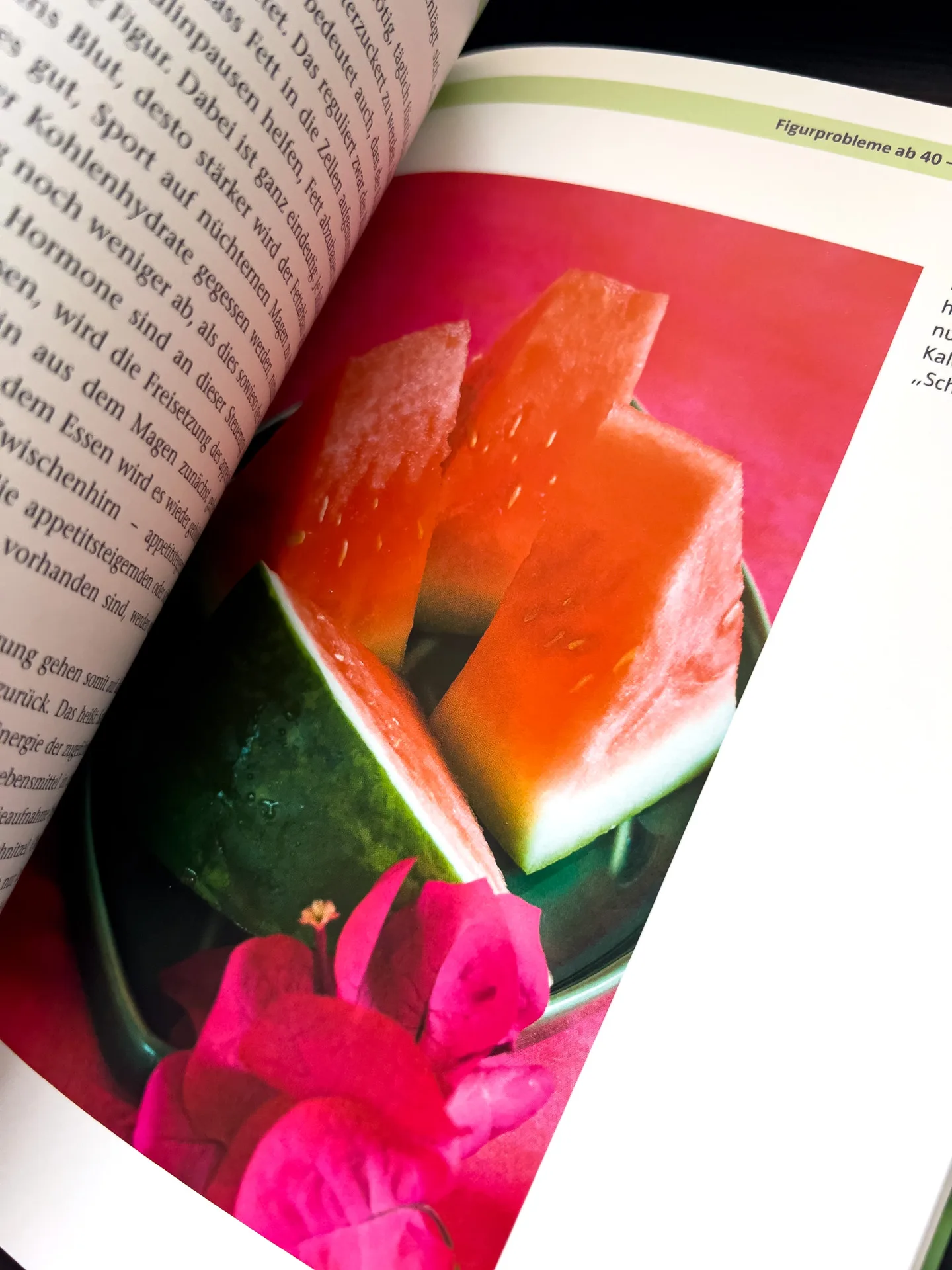 Gesunde Ernährung ab 40: So bleiben Sie fit und leistungsfähig von Dr. Andrea Flemmer