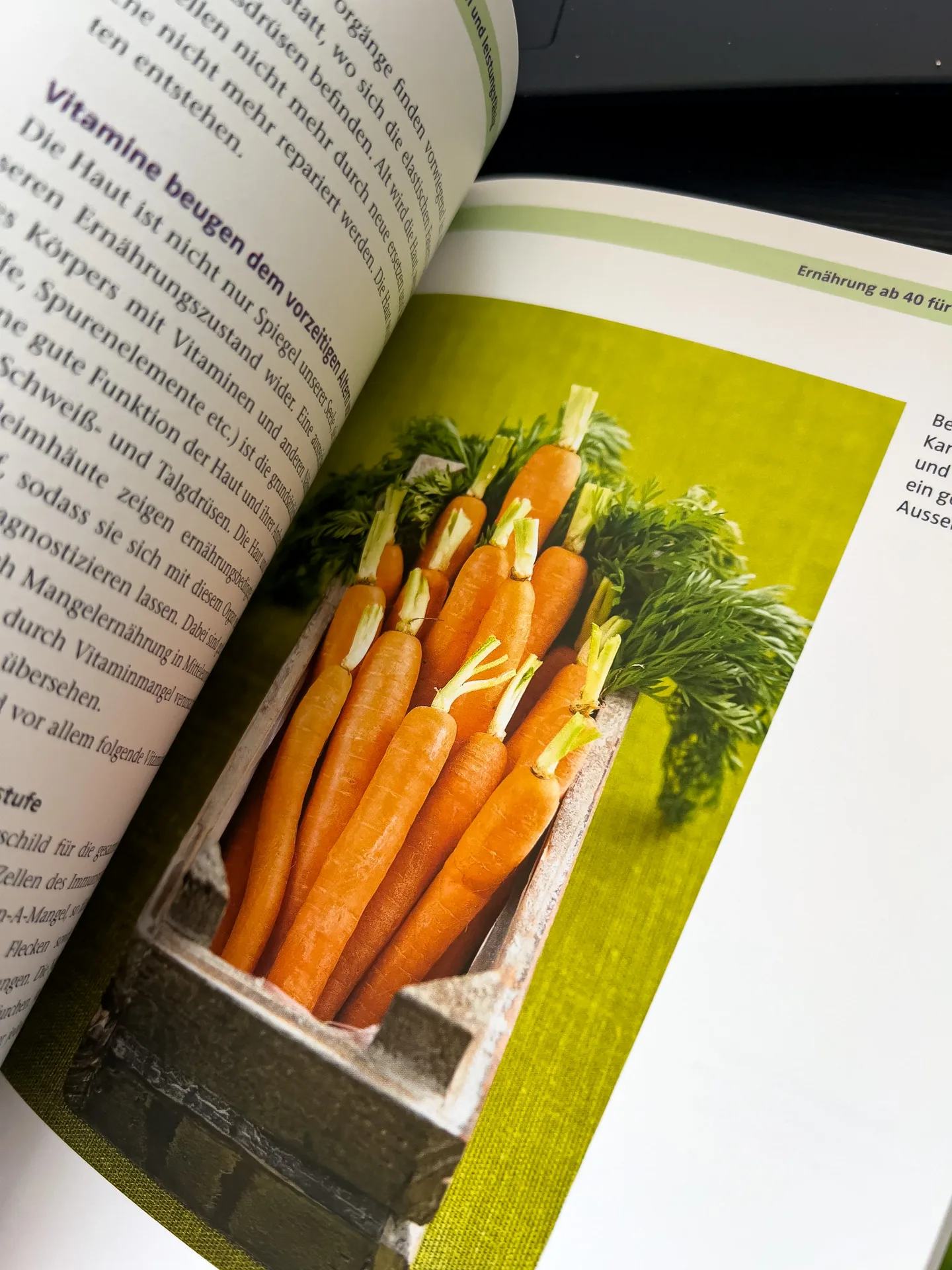 Gesunde Ernährung ab 40: So bleiben Sie fit und leistungsfähig von Dr. Andrea Flemmer