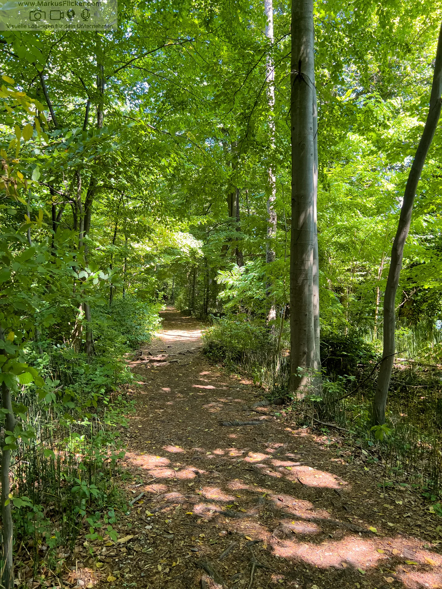 Mariborski Otok Maribor Island Insel Drava
