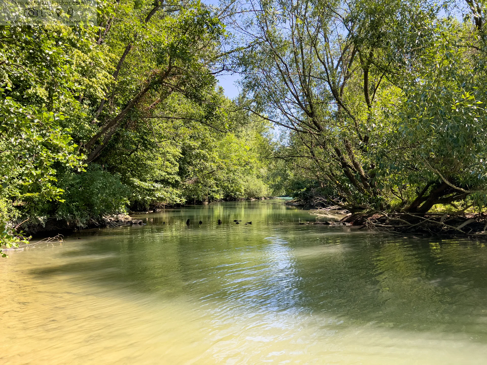 Mariborski Otok Maribor Island Insel Drava