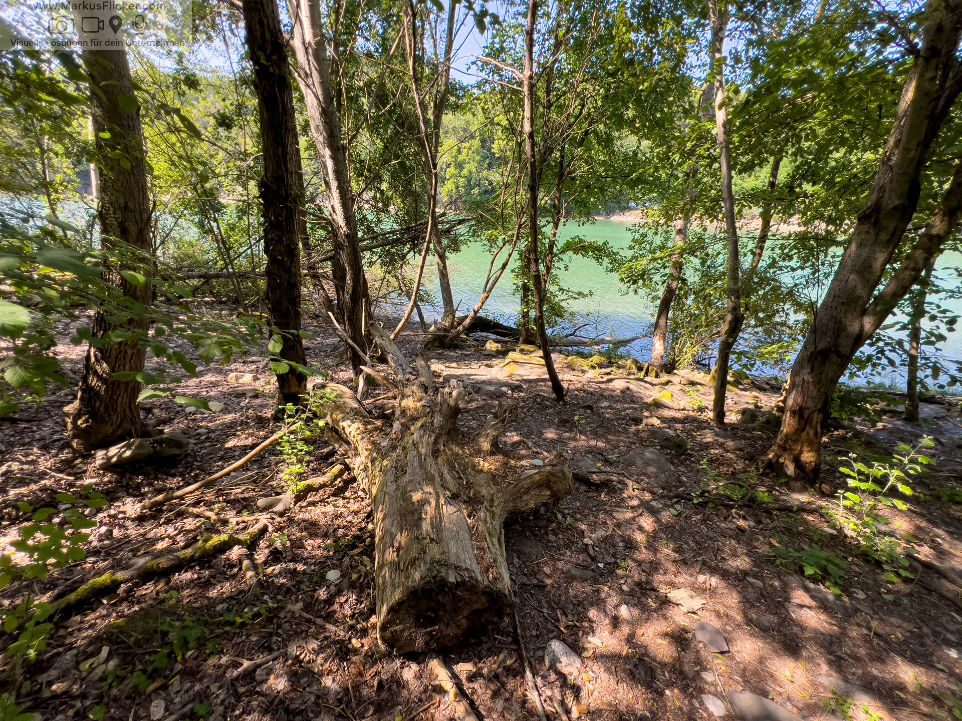 Mariborski Otok Maribor Island Insel Drava