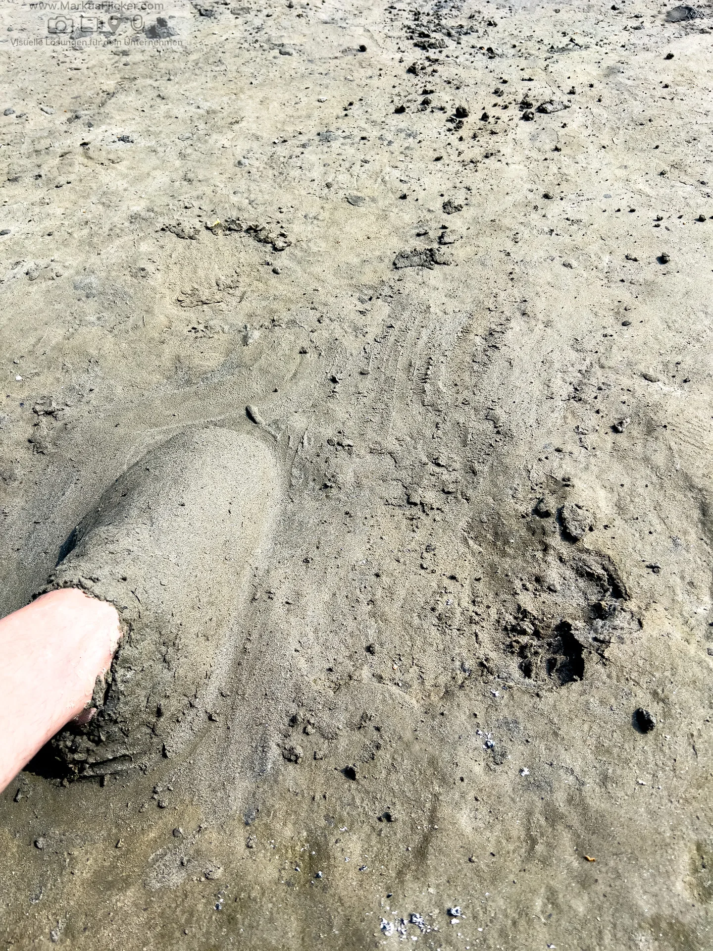 Mariborski Otok Maribor Island Insel Drava