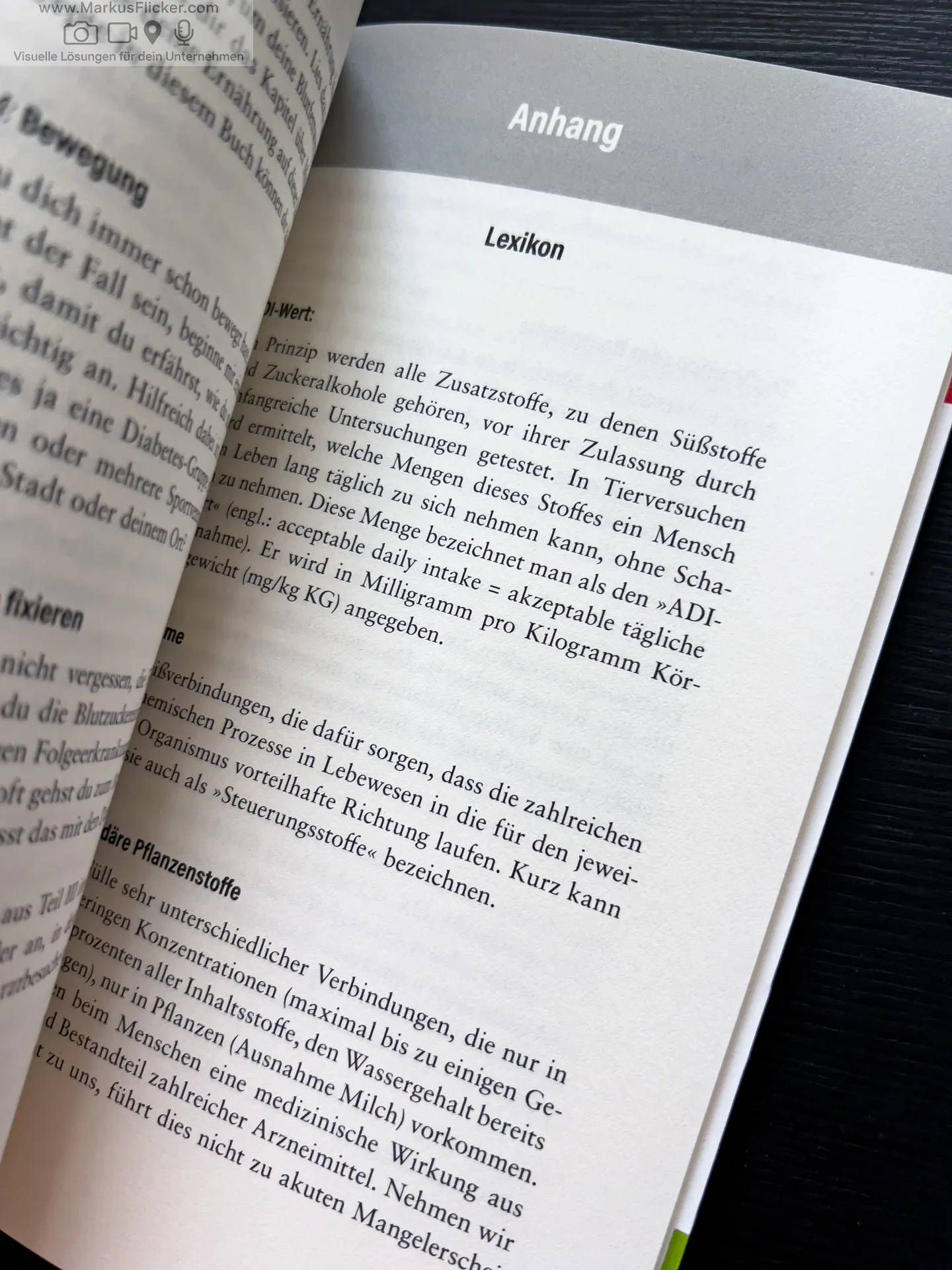 Blutzuckerwerte verstehen - Diabetes heilen: Schutz und Neustart für die Bauchspeicheldrüse mit 5-Wochen-Plan von Dr. Andrea Flemmer
