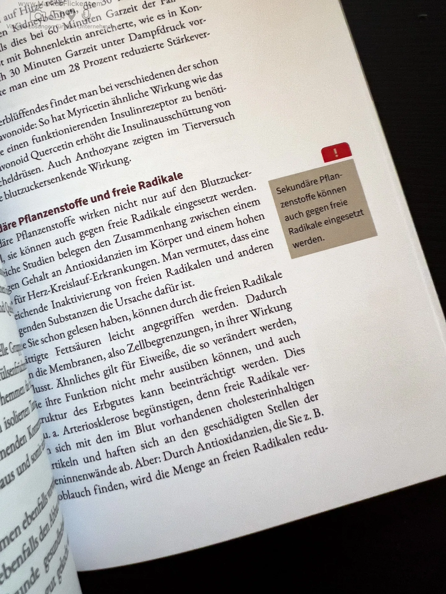 Cholesterin natürlich senken: Heilmittel, die den Cholesterinspiegel regulieren. Das können Sie selbst tun von Dr. Andrea Flemmer