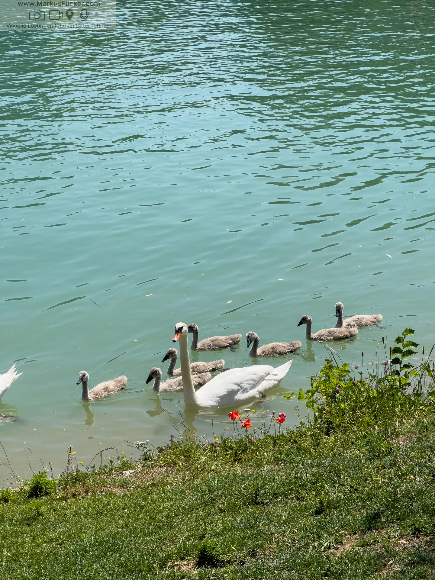 Photowalk Maribor Fotoworkshop Fotokurs für Models und Fotografen in Slowenien