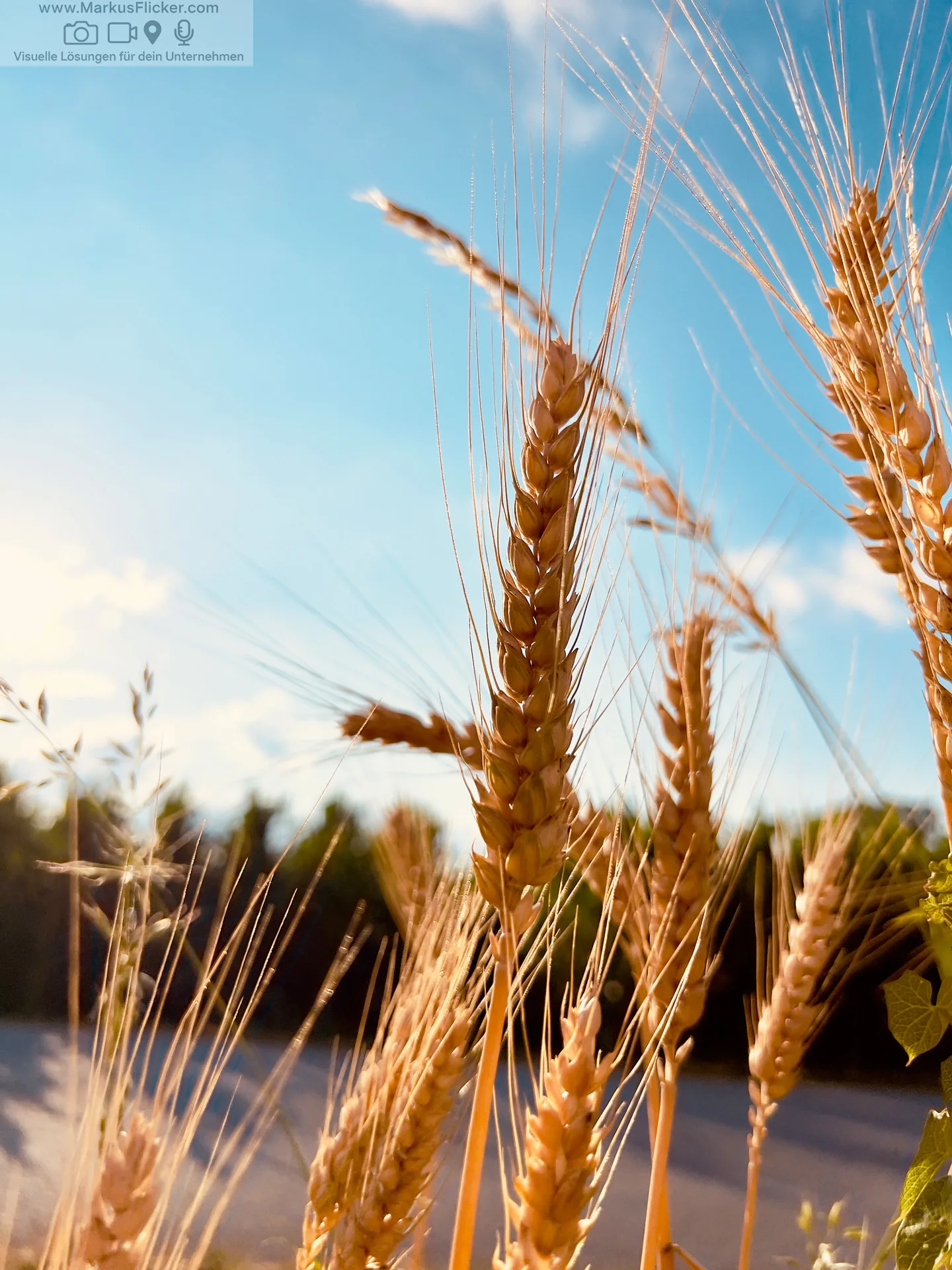 Mikroabenteuer: Saisonale Herausforderungen. Frühling: Das Erwachen der Natur. Sommer: Die Zeit der Fülle. Herbst: Die Magie der Veränderung. Winter: Abenteuer in der Kälte. Die Macht der Mikroabenteuer: Kleine Auszeiten für große Erlebnisse: Entdecke die Abenteuer vor deiner Tür!