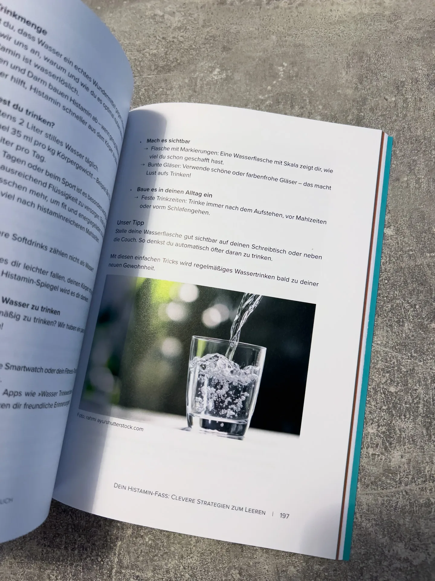 Der Histamin-Irrtum: Weg von Radikaldiäten und Verbotslisten - die Formel für ein gesundes Leben MIT Histamin von von Kyra Kauffmann und Sascha Kauffmann