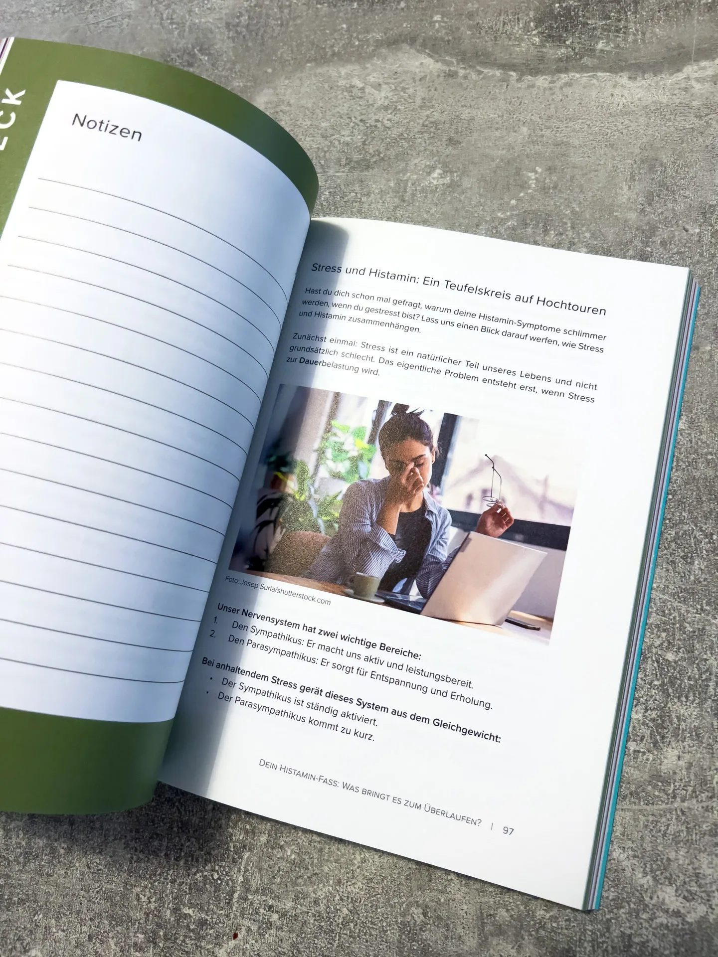 Der Histamin-Irrtum: Weg von Radikaldiäten und Verbotslisten - die Formel für ein gesundes Leben MIT Histamin von von Kyra Kauffmann und Sascha Kauffmann