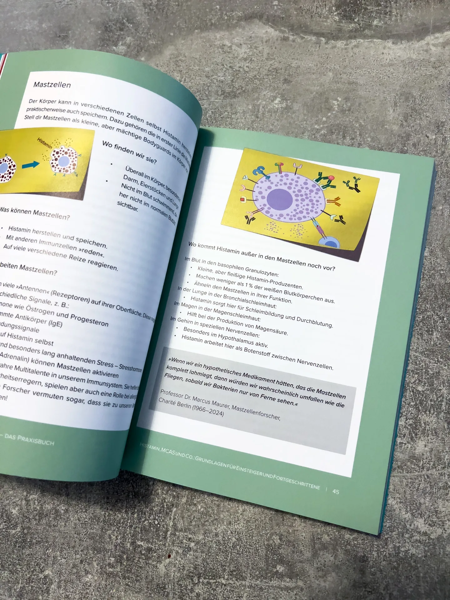 Der Histamin-Irrtum: Weg von Radikaldiäten und Verbotslisten - die Formel für ein gesundes Leben MIT Histamin von von Kyra Kauffmann und Sascha Kauffmann