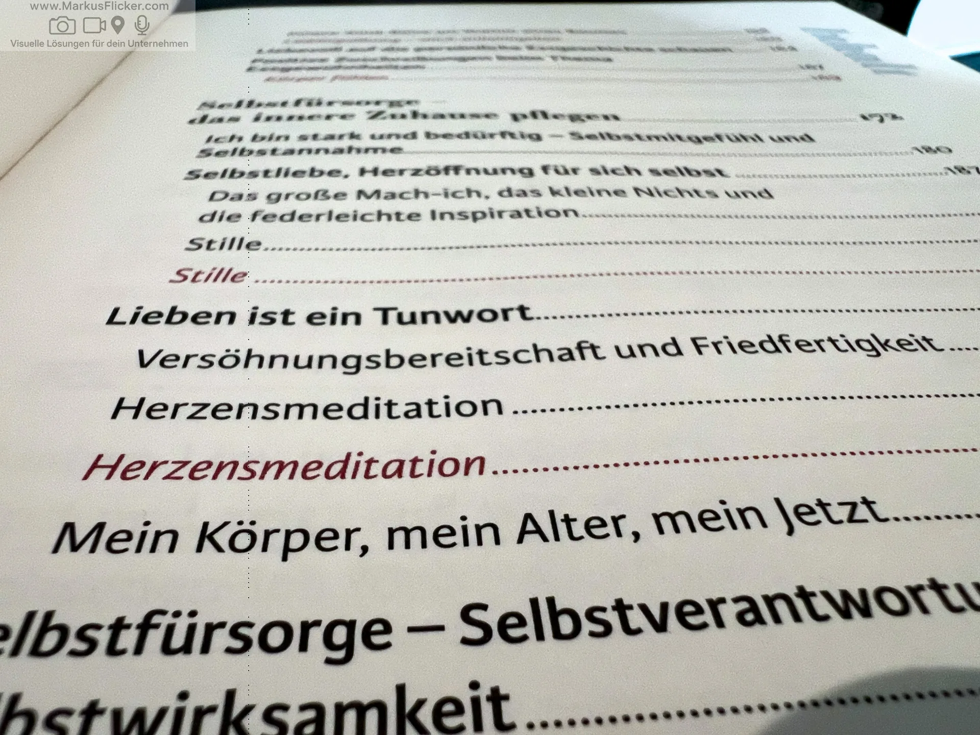 sattgeliebt: Wenn Gefühle hungrig machen von Andrea Löw freya Verlag