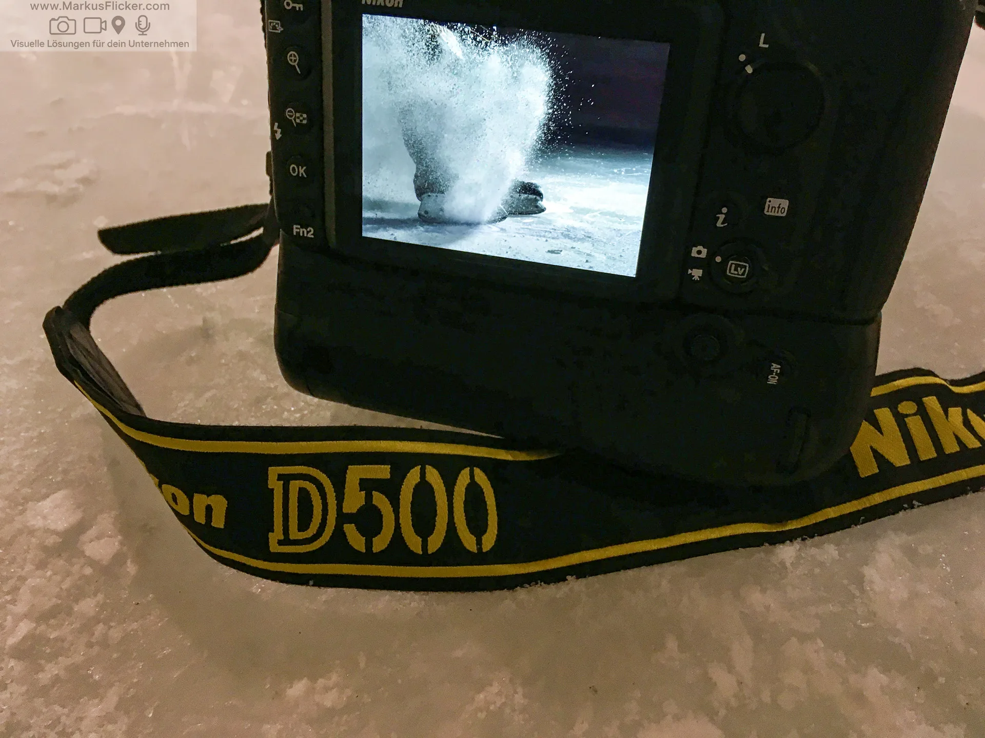 Skripterstellung und Storyboarding in der Produktion von Filmen, Videospielen, Animationen und anderen visuellen Medien