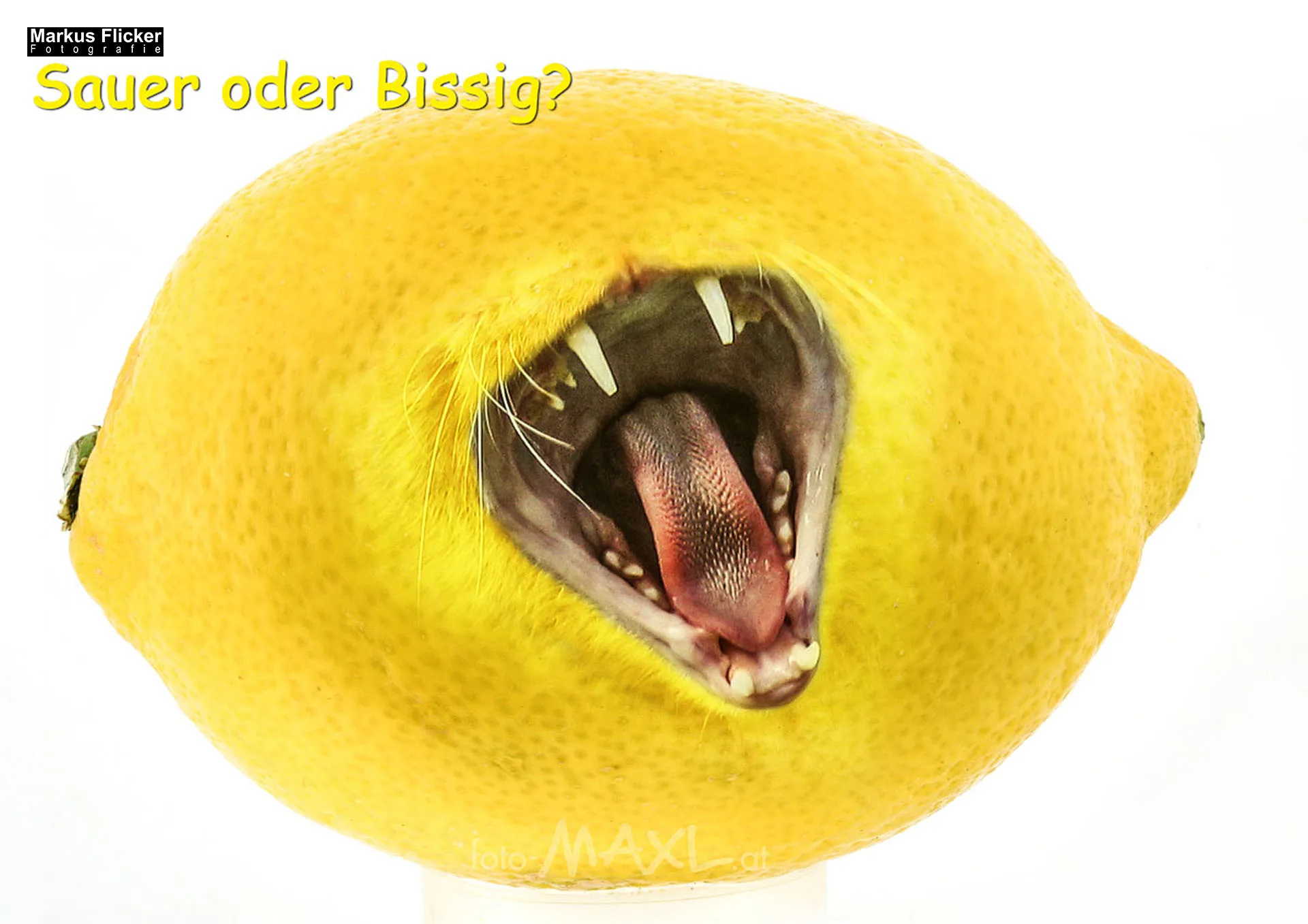 Photoshop A B C für Fotografen 26 Tipps und Tricks