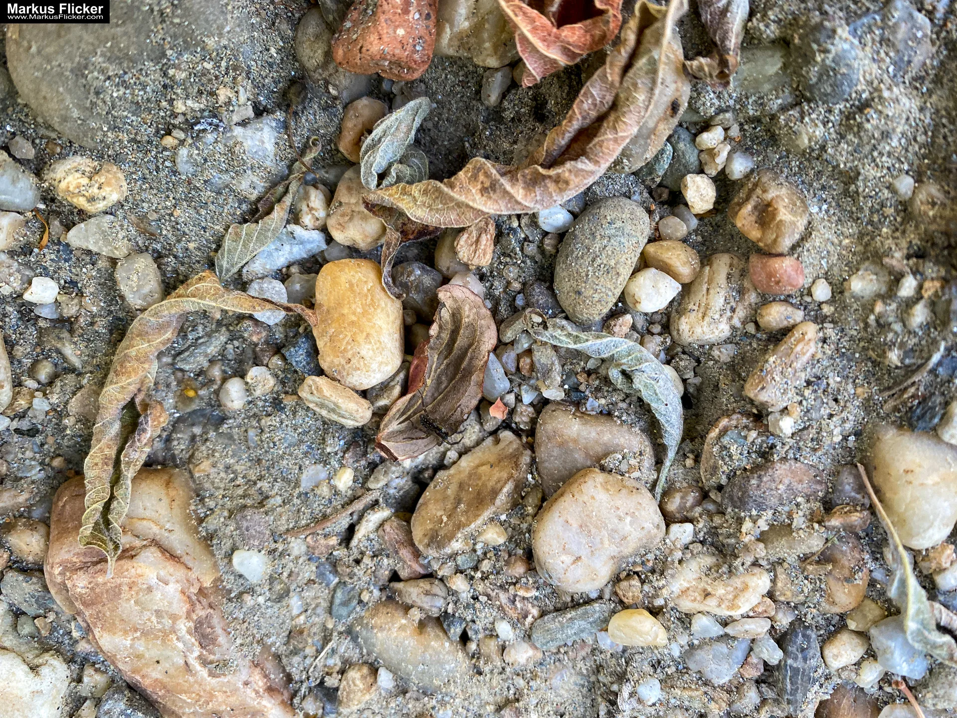 Billiges Abenteuer-Set für minimalistische Naturfotos mit dem Handy