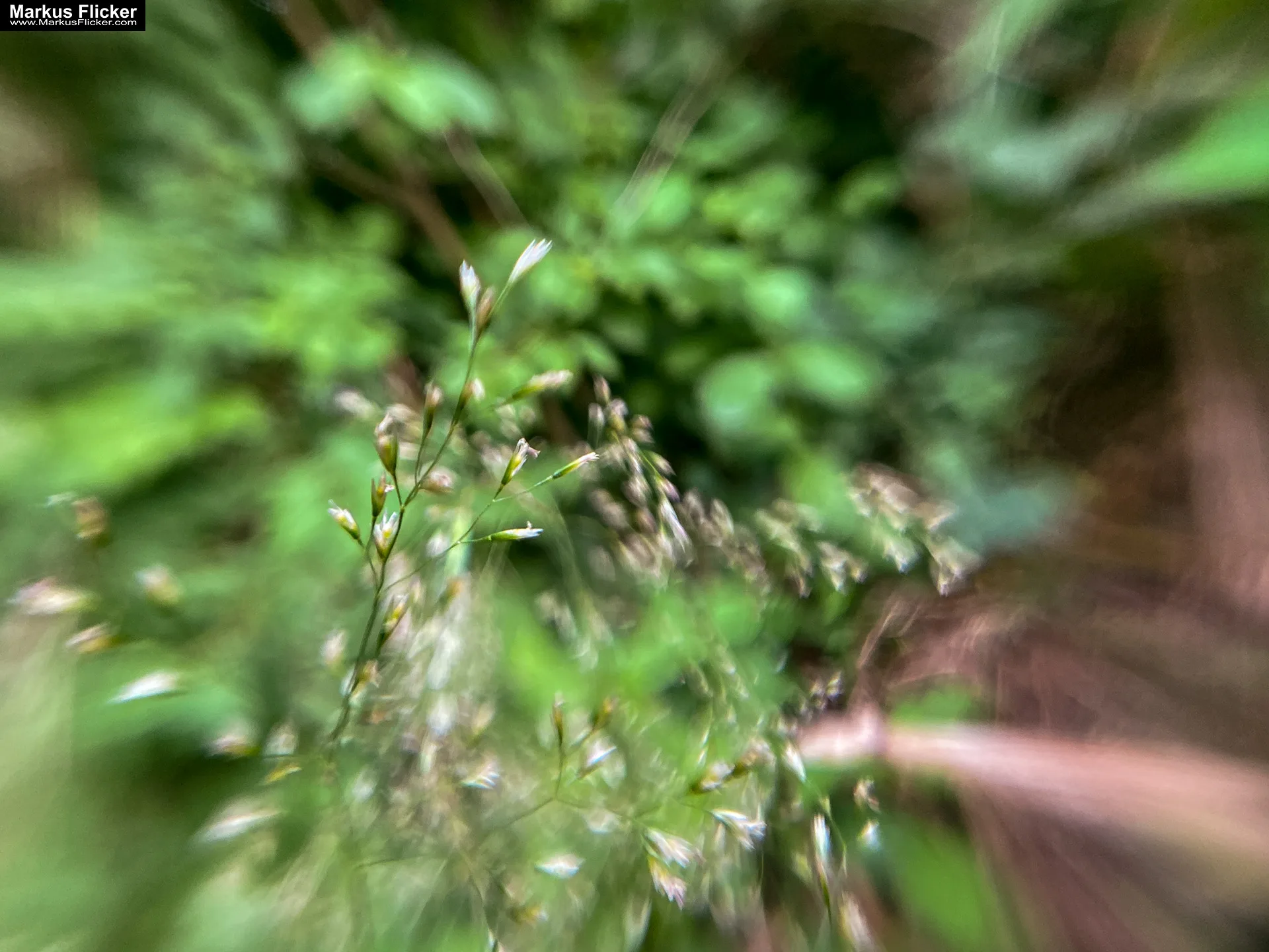 Billiges Abenteuer-Set für minimalistische Naturfotos mit dem Handy