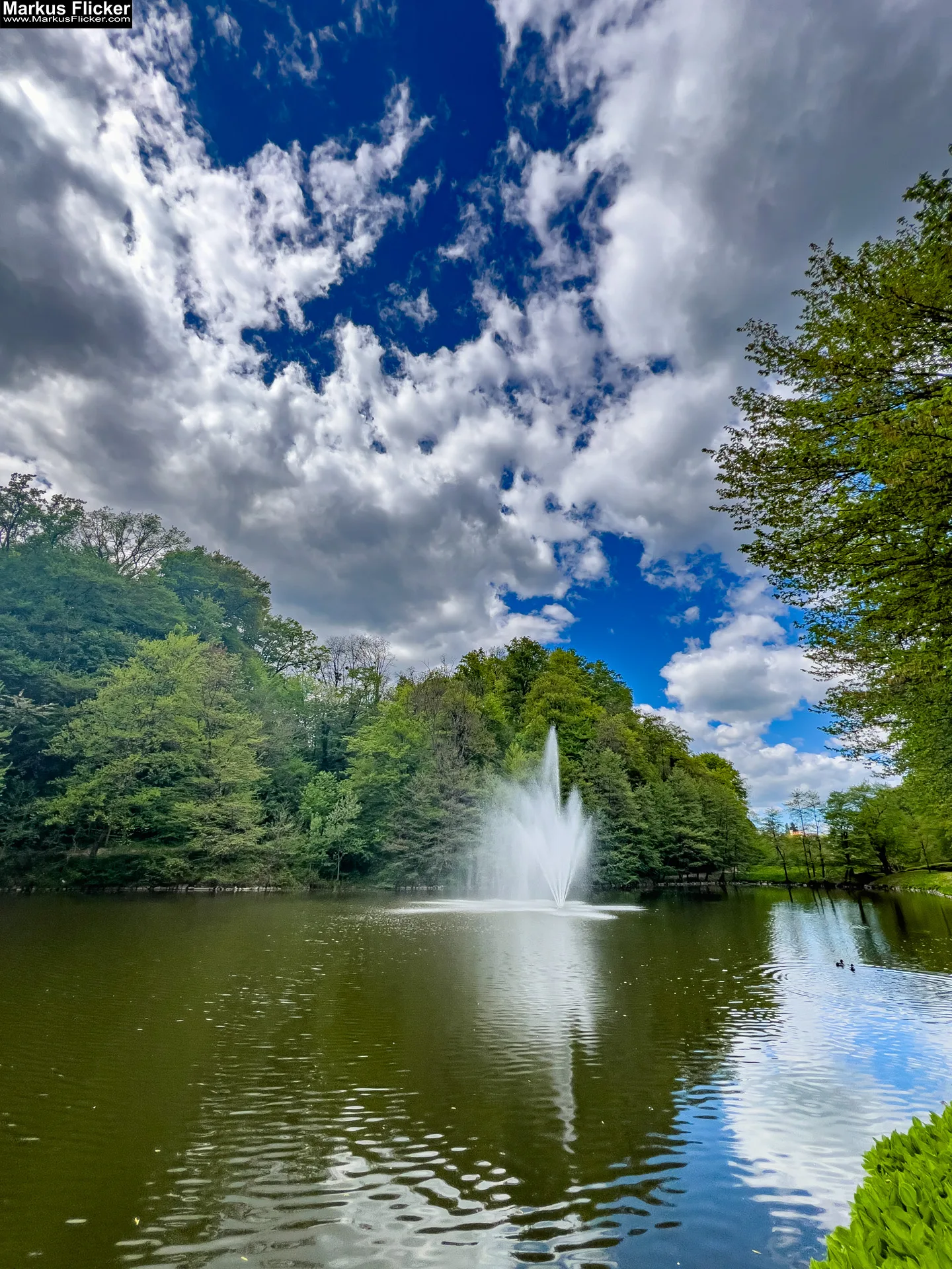 Natürliche Farben und Texturen entdecken für DIY Fotografie. Kreative DIY-Fotografie – Zuhause, in der Stadt und in der Natur