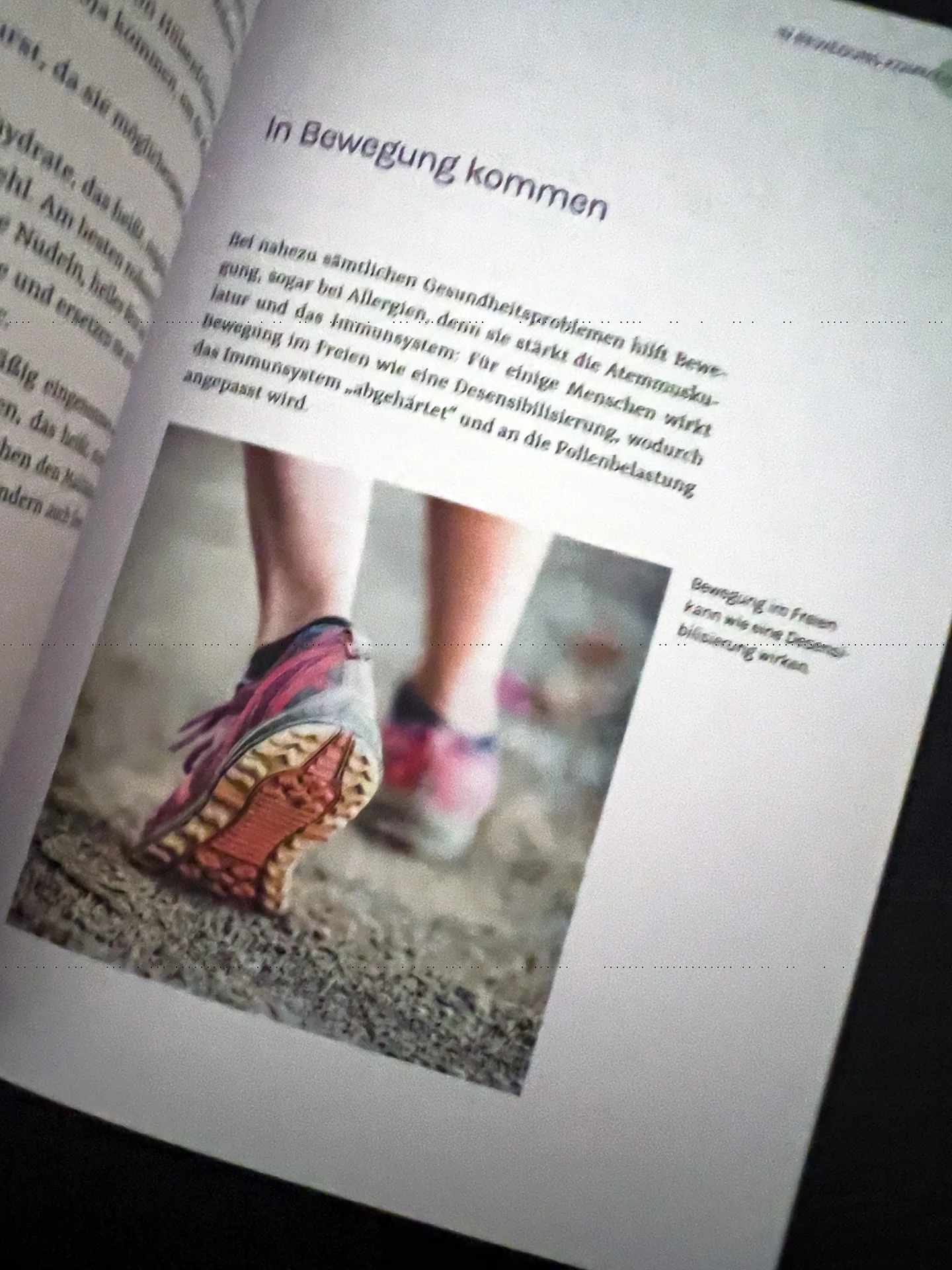 Allergien verstehen und natürlich behandeln: Beschwerden selbst lindern – Lebensqualität verbessern von Dr. Andrea Flemmer inkl. Überblick über die 12 häufigsten Allergien