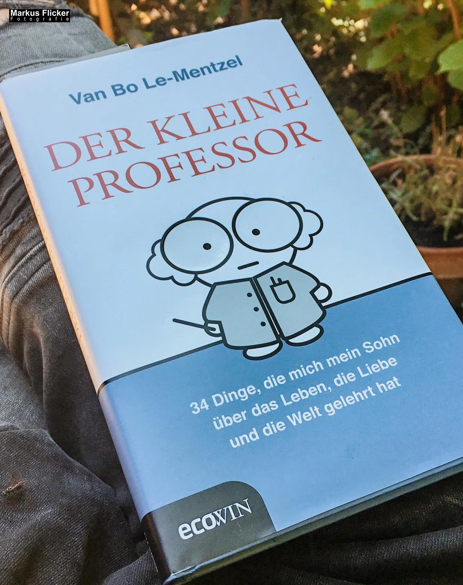Der Kleine Professor: 34 Dinge, die mich mein Sohn über das Leben, die Liebe und die Welt gelehrt hat von Van Bo Le-Mentzel