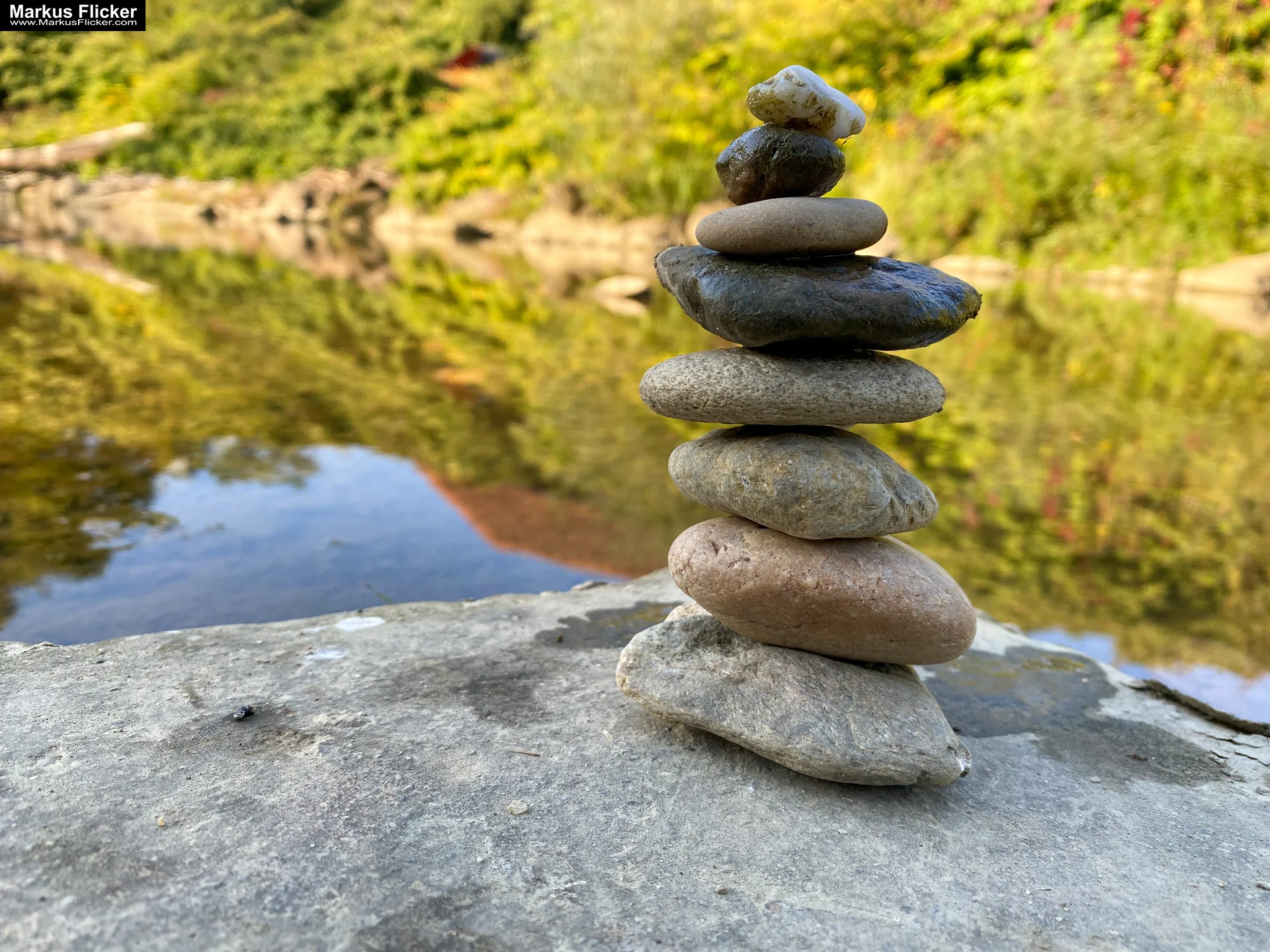 Herbstzauber im Taschenformat: Wie du mit dem Smartphone die goldene Jahreszeit einfängst. Blätter, Licht und Spiegelungen: Kreative Fotoideen für deinen Herbstspaziergang