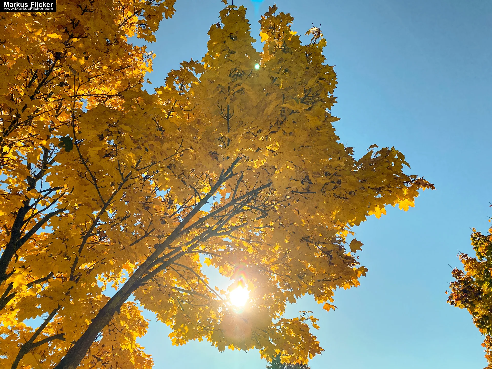 Herbstzauber im Taschenformat: Wie du mit dem Smartphone die goldene Jahreszeit einfängst. Blätter, Licht und Spiegelungen: Kreative Fotoideen für deinen Herbstspaziergang