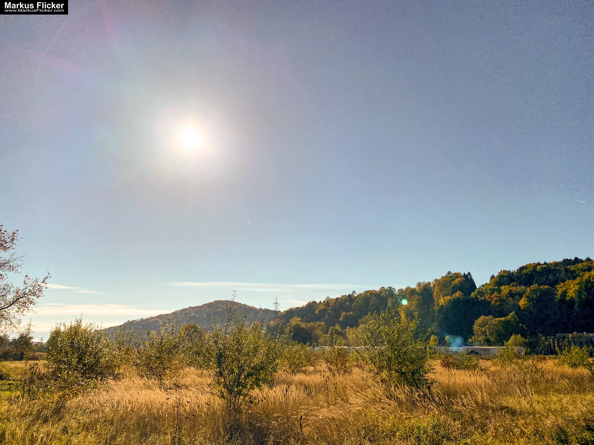 Herbstzauber im Taschenformat: Wie du mit dem Smartphone die goldene Jahreszeit einfängst. Blätter, Licht und Spiegelungen: Kreative Fotoideen für deinen Herbstspaziergang