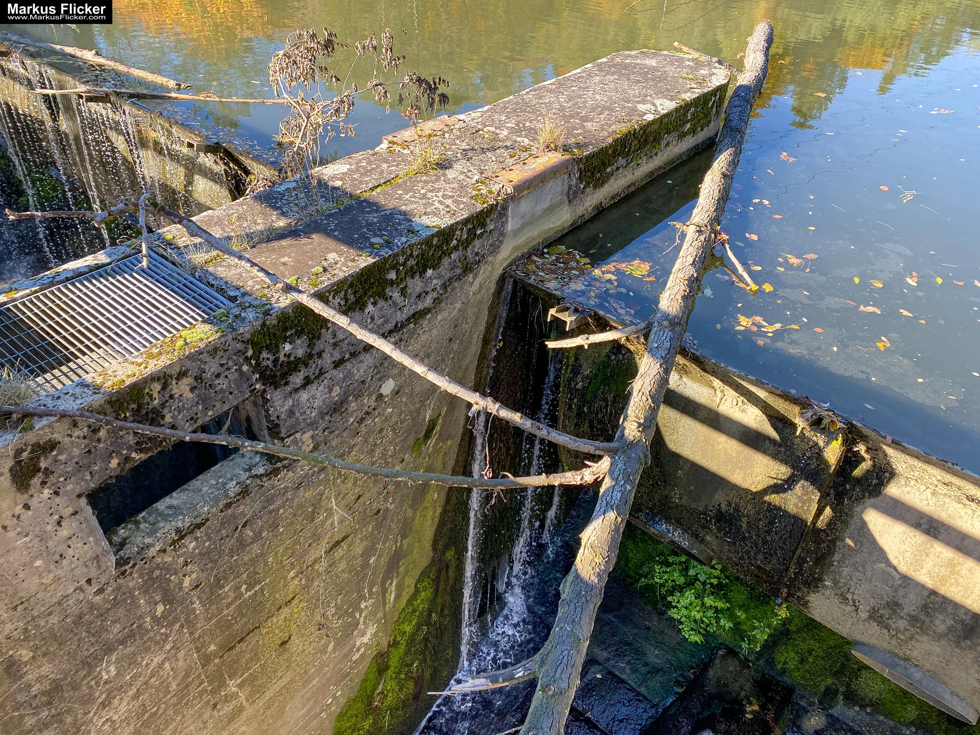 Herbstzauber im Taschenformat: Wie du mit dem Smartphone die goldene Jahreszeit einfängst. Blätter, Licht und Spiegelungen: Kreative Fotoideen für deinen Herbstspaziergang
