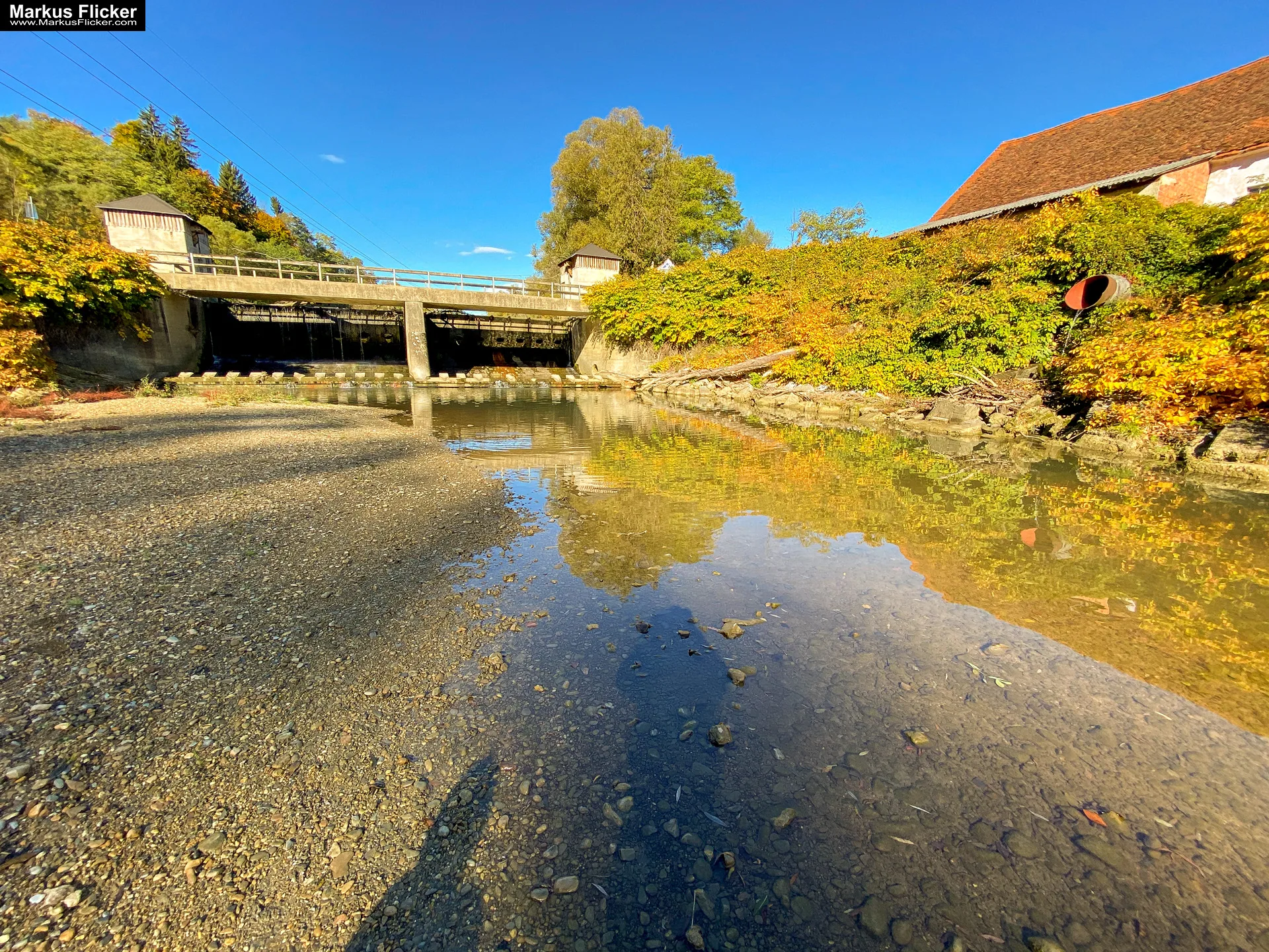 Herbstzauber im Taschenformat: Wie du mit dem Smartphone die goldene Jahreszeit einfängst. Blätter, Licht und Spiegelungen: Kreative Fotoideen für deinen Herbstspaziergang