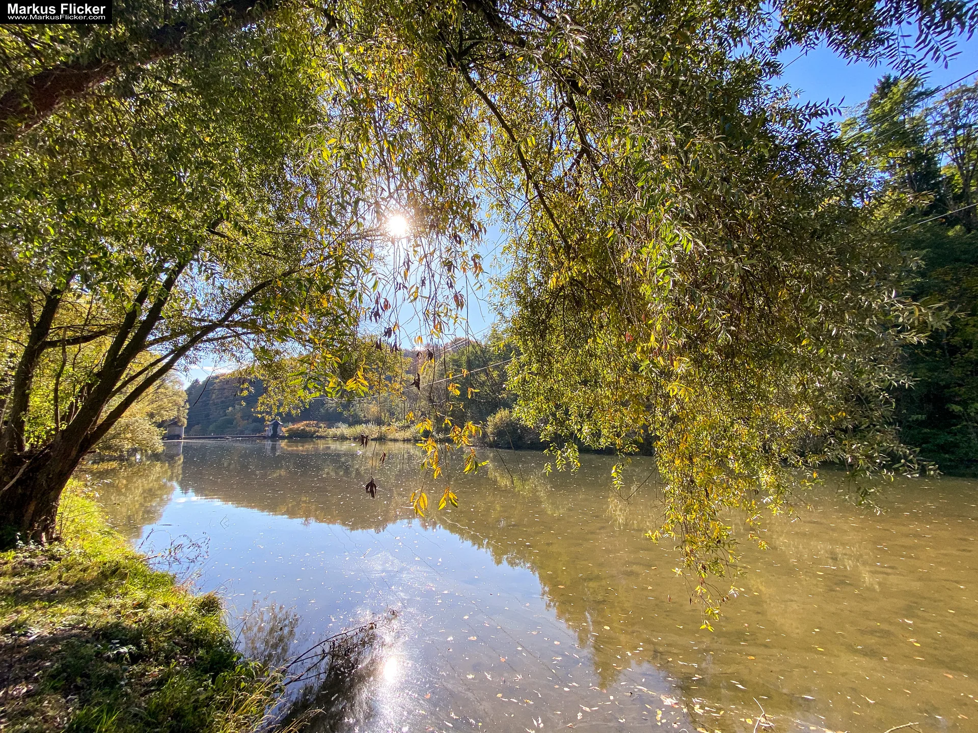 Herbstzauber im Taschenformat: Wie du mit dem Smartphone die goldene Jahreszeit einfängst. Blätter, Licht und Spiegelungen: Kreative Fotoideen für deinen Herbstspaziergang
