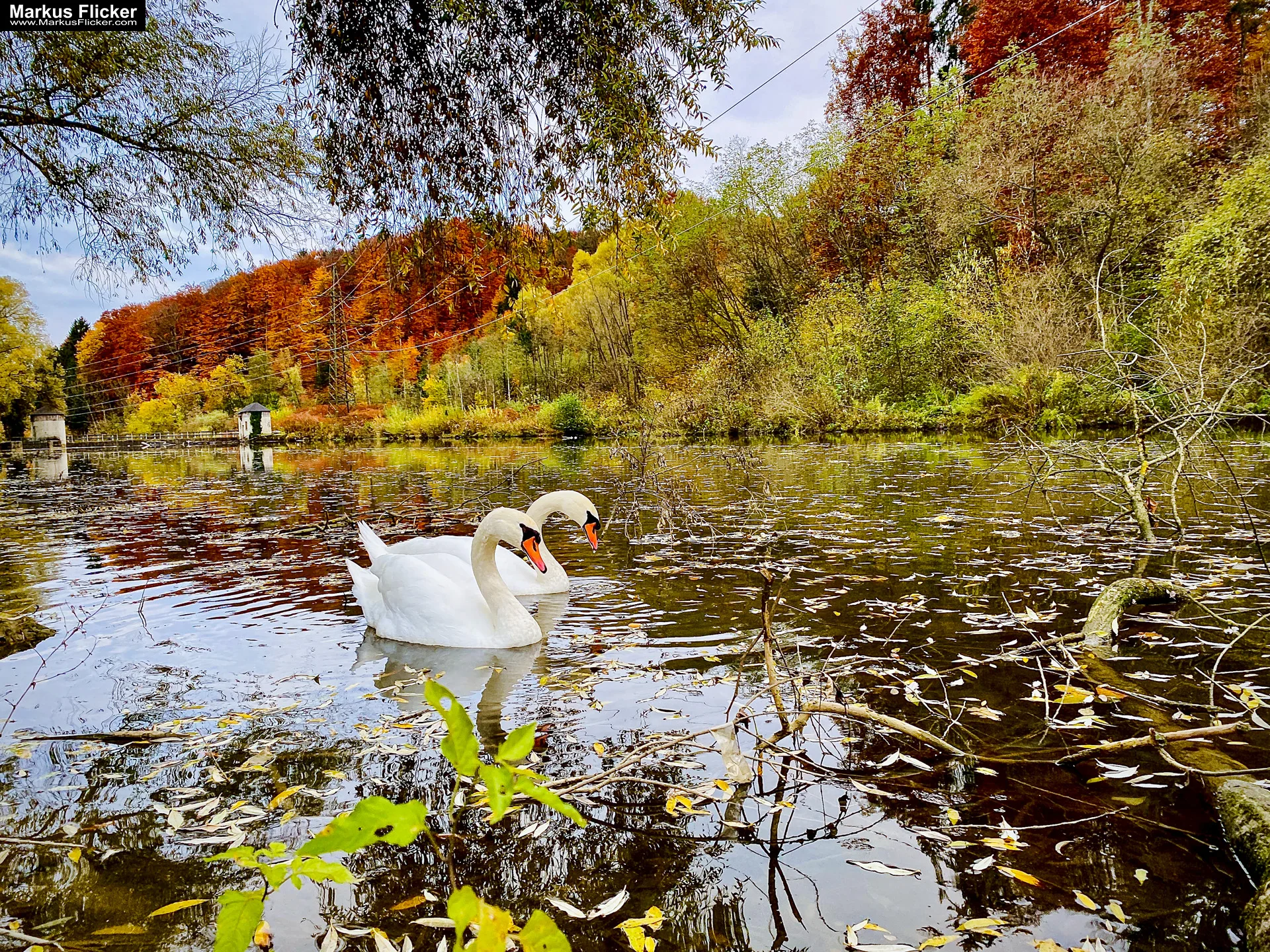 Herbstzauber im Taschenformat: Wie du mit dem Smartphone die goldene Jahreszeit einfängst. Blätter, Licht und Spiegelungen: Kreative Fotoideen für deinen Herbstspaziergang