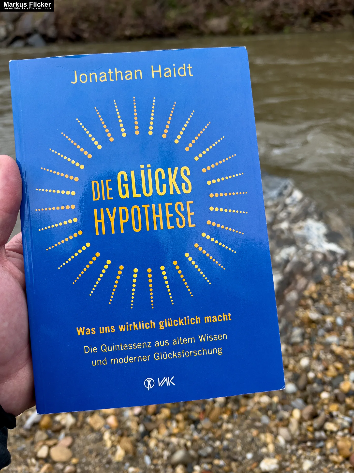 Die Glückshypothese: Was uns wirklich glücklich macht: Die Quintessenz aus altem Wissen und moderner Glücksforschung von Jonathan Haidt