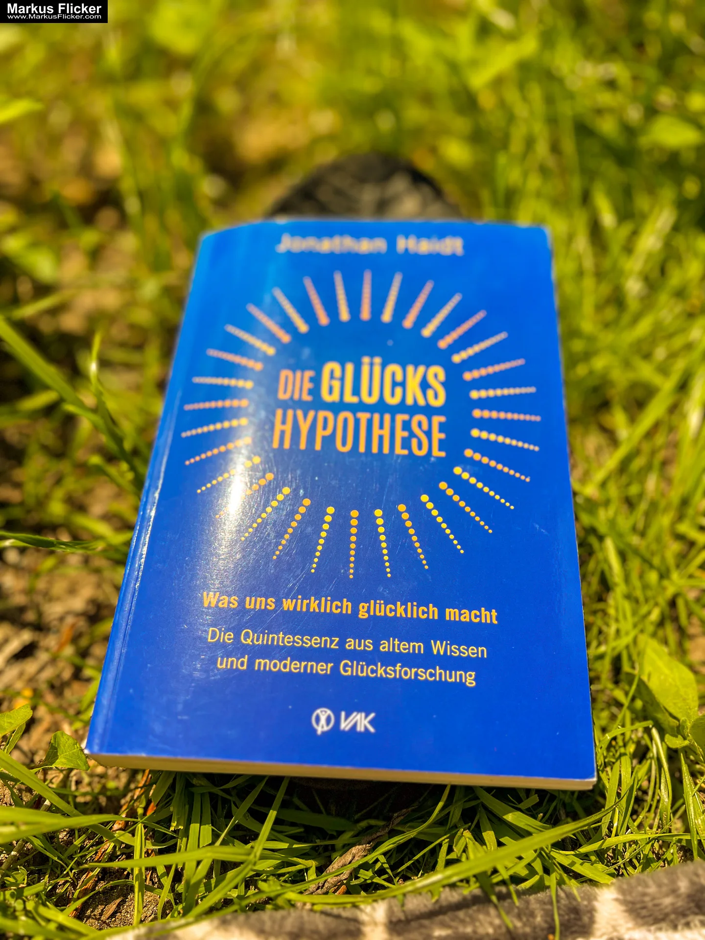 Die Glückshypothese: Was uns wirklich glücklich macht: Die Quintessenz aus altem Wissen und moderner Glücksforschung von Jonathan Haidt