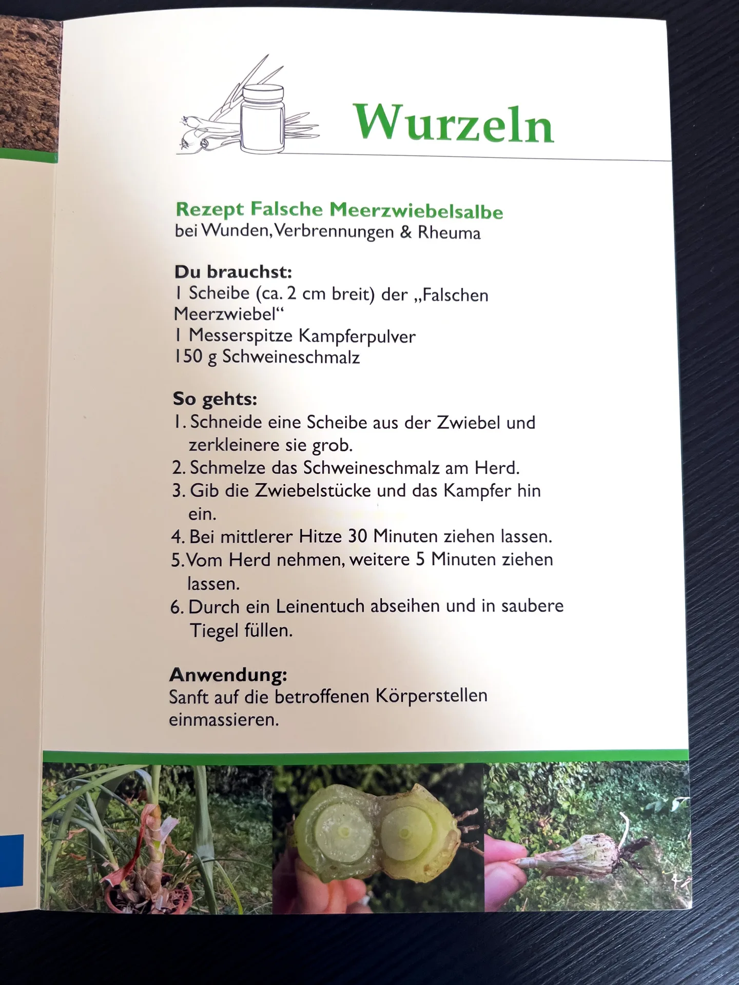 Wurzeln: Apotheke aus der Erde. Anwendungen, Botanik, Rezepte, Volksmedizin von Eunike Grahofer