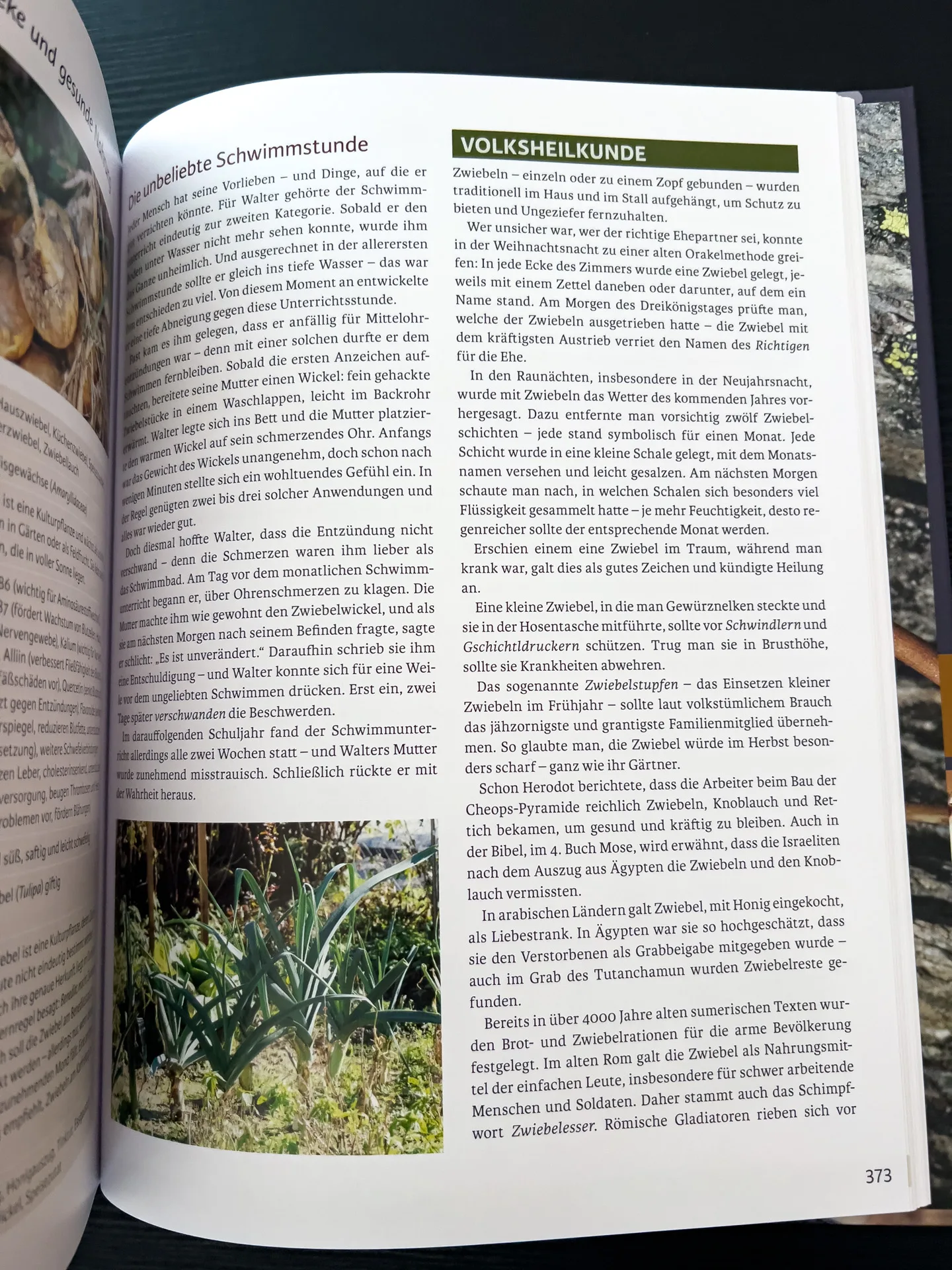 Wurzeln: Apotheke aus der Erde. Anwendungen, Botanik, Rezepte, Volksmedizin von Eunike Grahofer