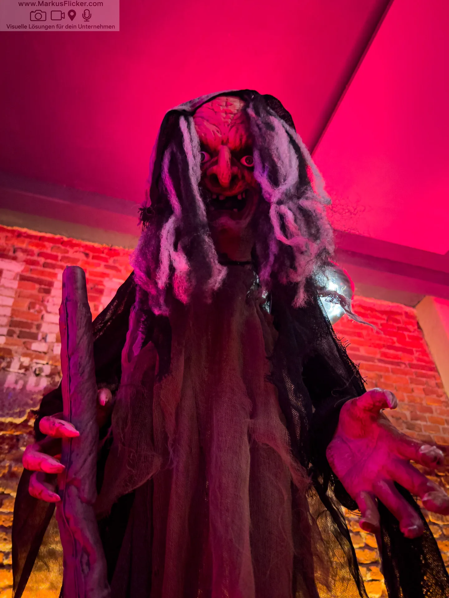 Sei Giorni 6G Halloween Party Gleisdorf Steiermark