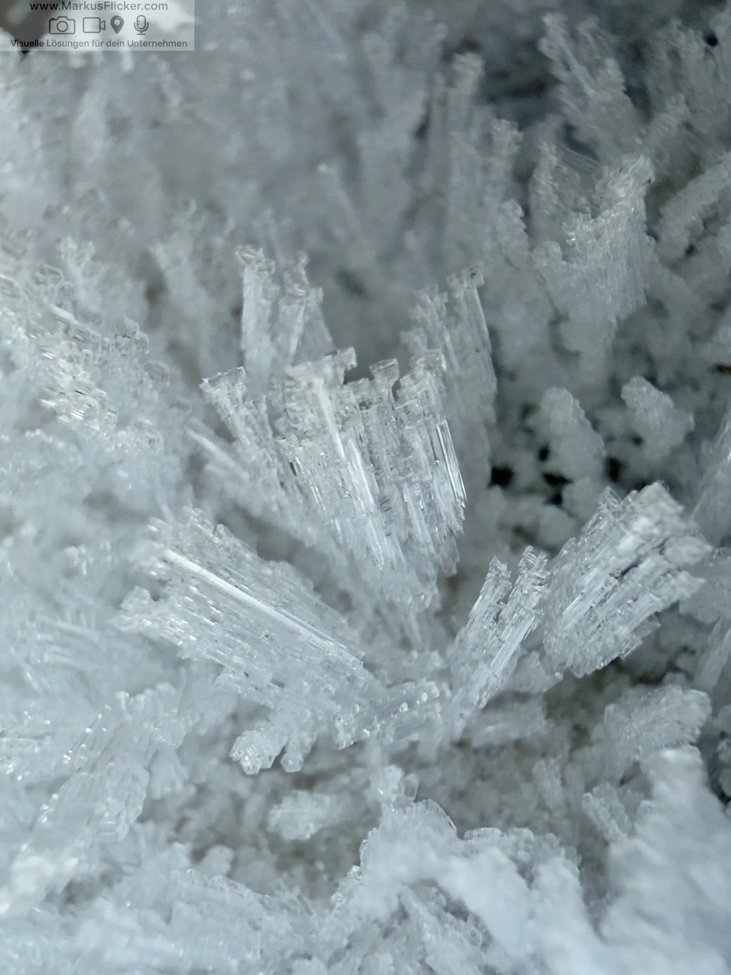 DIY-Hilfsmittel als Stativ-Ersatz für kreative Fotoprojekte inkl. 37 konkrete Tipps, Tricks und Anwendungen