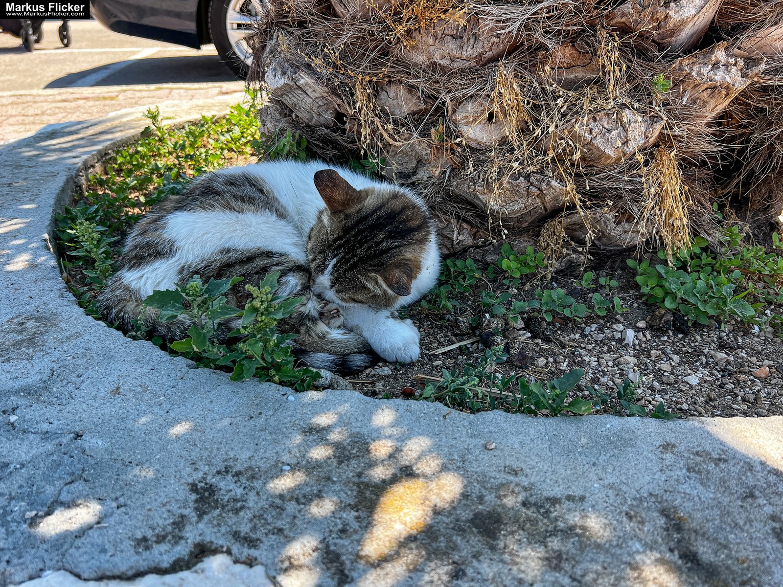 Rogoznica Dalmatien Istrien Kroatien #visitcroatia #visitrogoznica