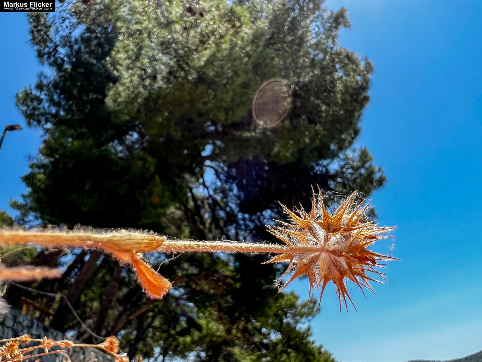 Rogoznica Dalmatien Istrien Kroatien #visitcroatia #visitrogoznica