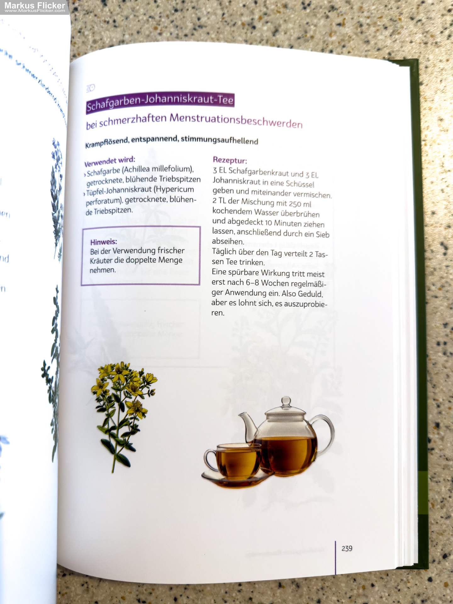 Kräutertee und Wadenwickel: Die 500 beliebtesten Hausmittel und Kräuteranwendungen für die ganze Familie von Judith Koch Kräutertee und Wadenwickel: Die 500 beliebtesten Hausmittel und Kräuteranwendungen für die ganze Familie von Judith Koch