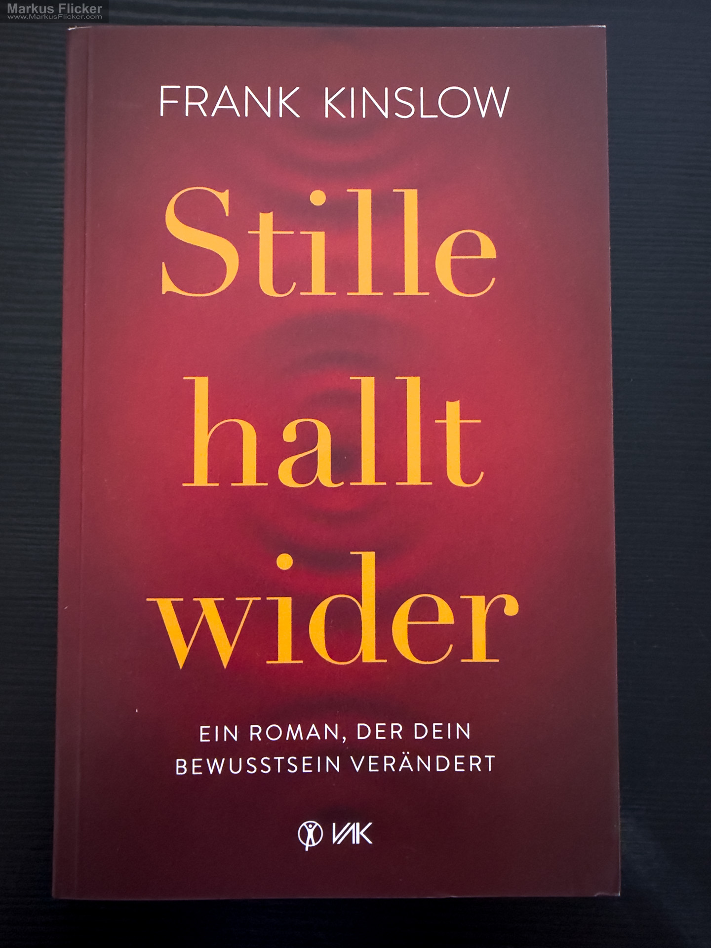 Stille hallt wider: Ein Roman, der dein Bewusstsein verändert von Frank Kinslow Stille hallt wider: Ein Roman, der dein Bewusstsein verändert von Frank Kinslow