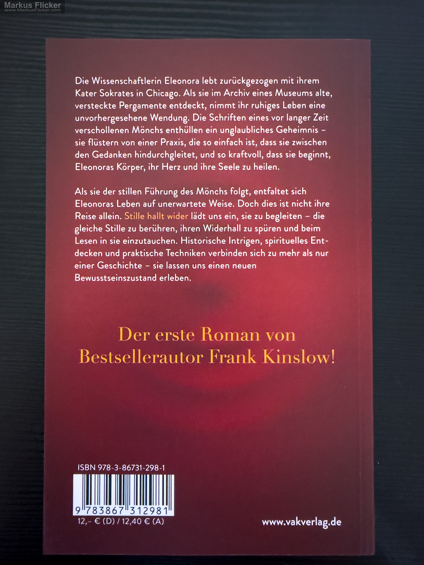 Stille hallt wider: Ein Roman, der dein Bewusstsein verändert von Frank Kinslow Stille hallt wider: Ein Roman, der dein Bewusstsein verändert von Frank Kinslow