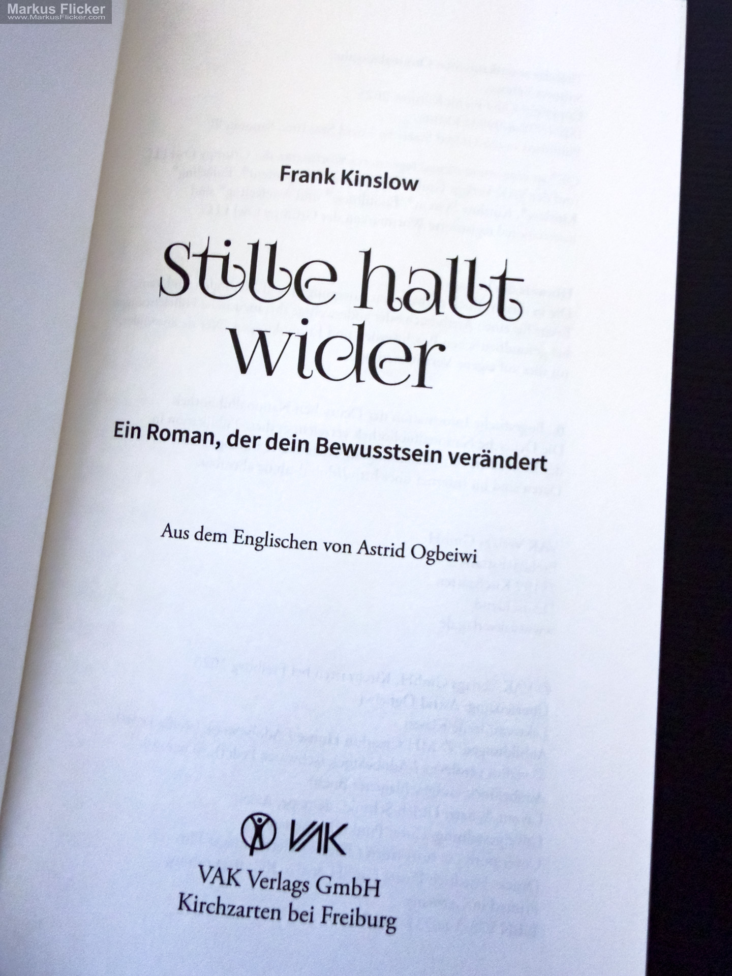 Stille hallt wider: Ein Roman, der dein Bewusstsein verändert von Frank Kinslow Stille hallt wider: Ein Roman, der dein Bewusstsein verändert von Frank Kinslow